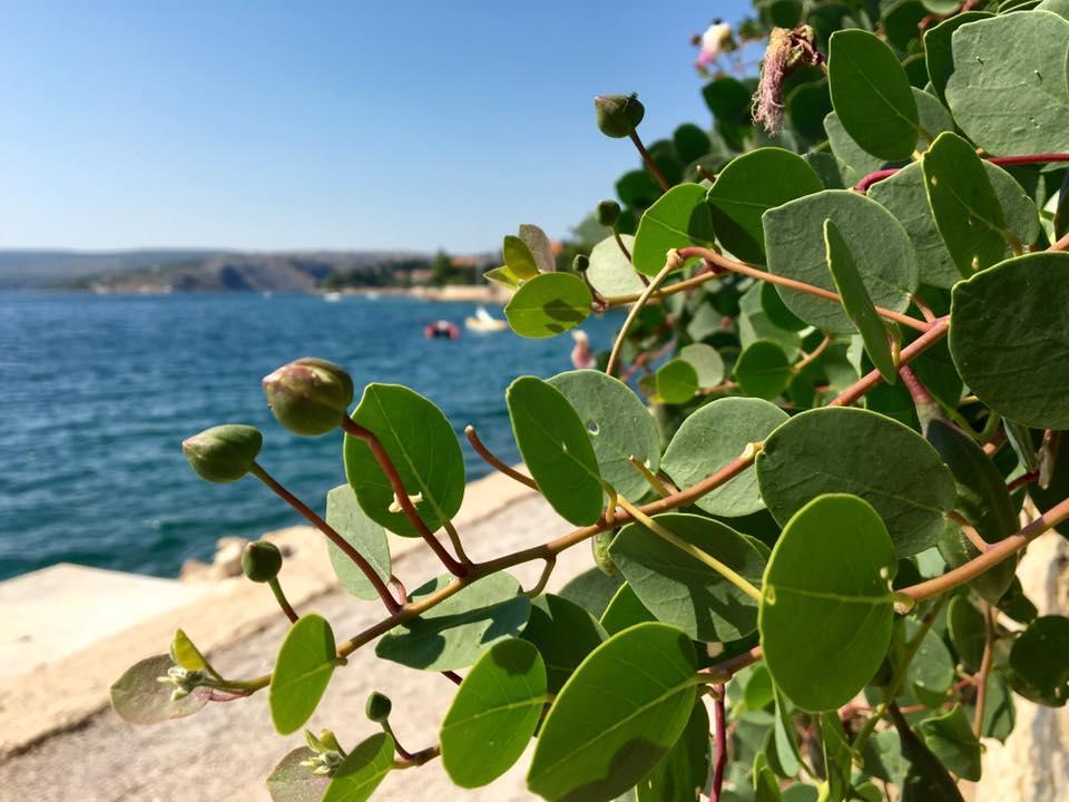 Apartman Mare Maslenica Εξωτερικό φωτογραφία